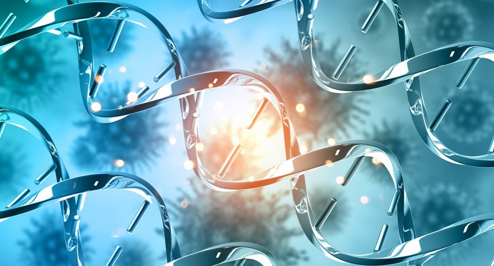 شبکه‌های پیچیده زیستی